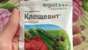 Уеб кърлежи върху краставици в оранжерията на борбата